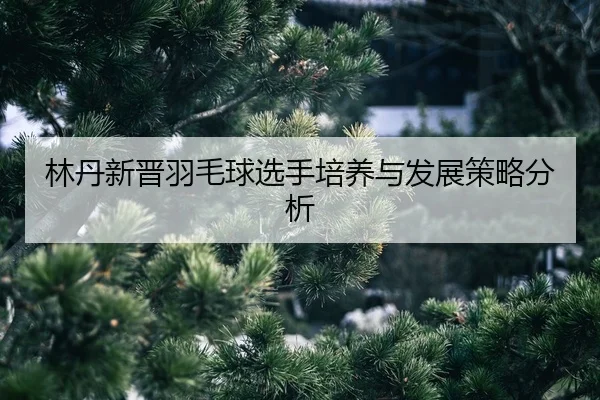 lin-dan-xin-jin-yu-mao-qiu-xuan-shou-pei-yang-yu-fa-zhan-ce-lve-fen-xi-2-608.jpg