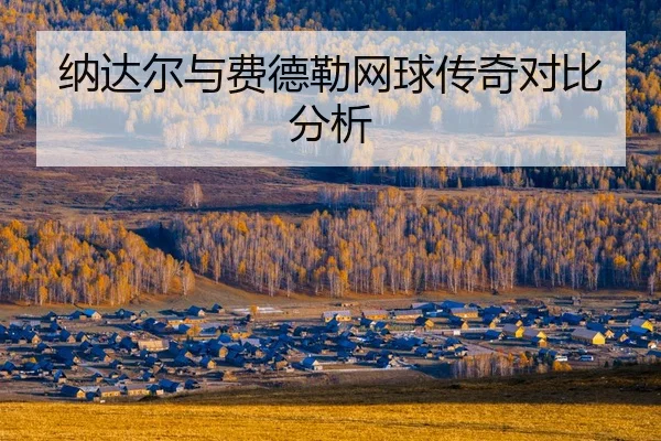 na-da-er-yu-fei-de-lei-wang-qiu-chuan-qi-dui-bi-fen-xi-2-444.jpg