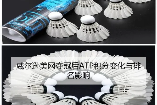 威尔逊美网夺冠后ATP积分变化与排名影响